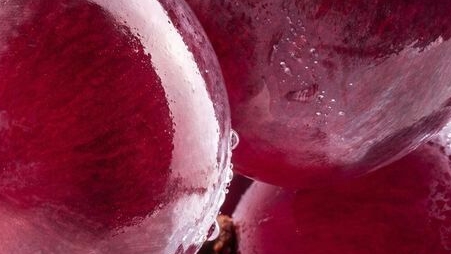 Croatian Red Grape Yeast Extract