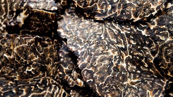 Black & White Truffle