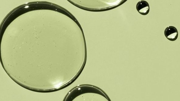 Pharmaceutical-Grade L-Carnitine