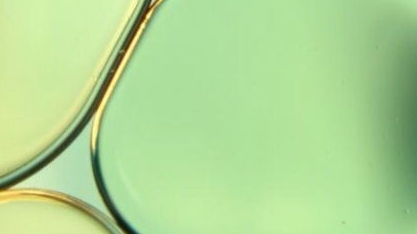 Yak Marrow Biopeptide Complex