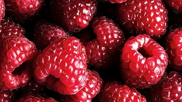 Serbian Raspberry