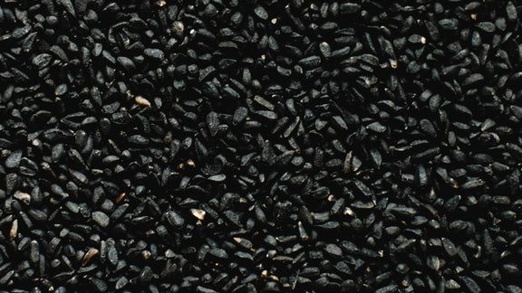 Black Cumin Oil
