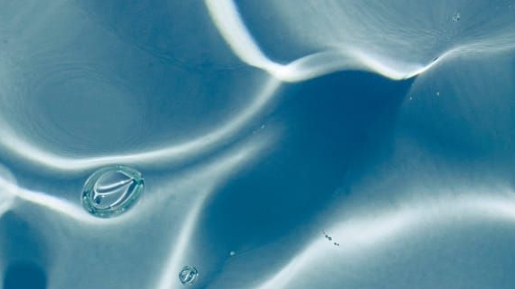 Bonito Elastin Peptide