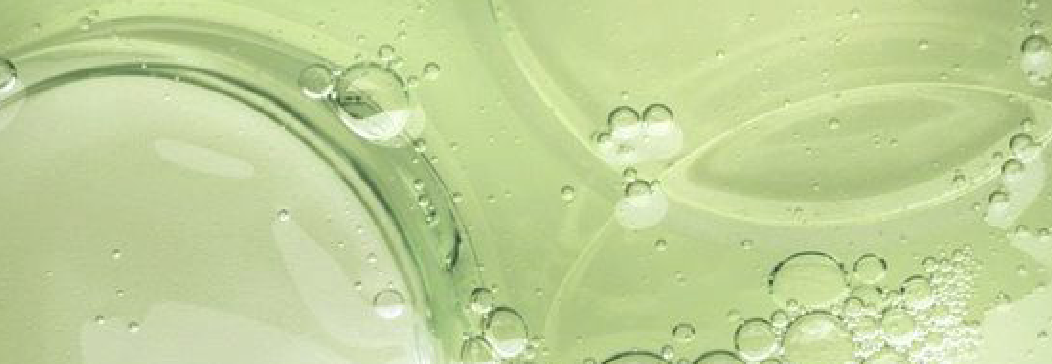 Chlorogenic Acid