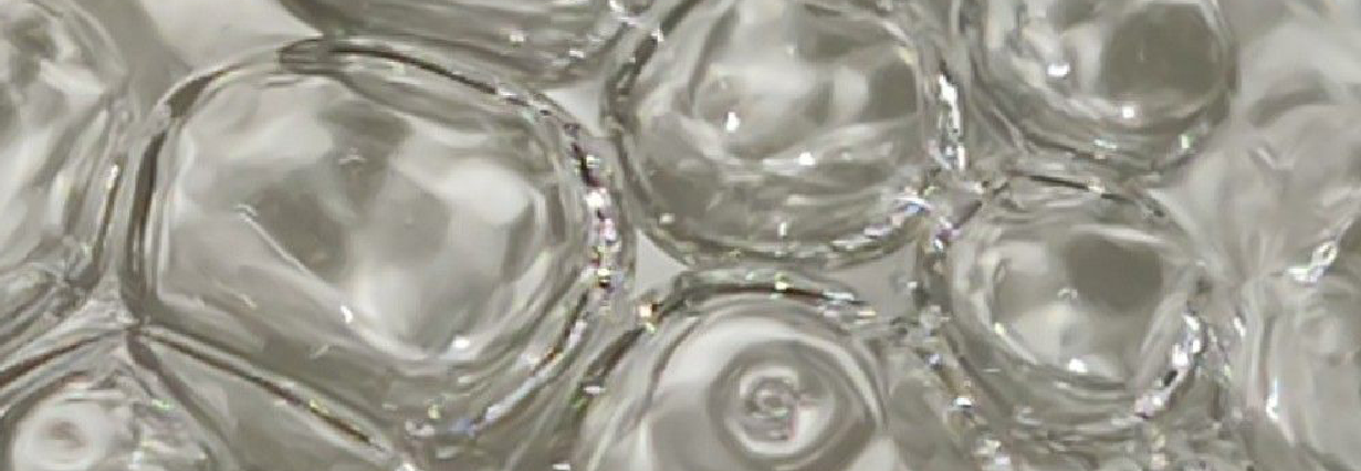 Bonito Elastin Peptide